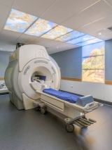 Hyde+Park+MRI-1.jpg