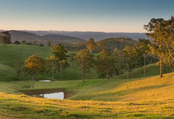 Rolling+Green+Hills+Pasture+Sunset